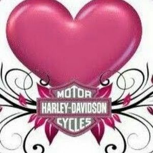 Meet your Posher, Darla